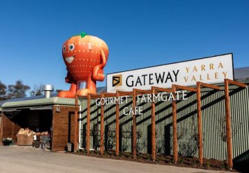 gateway estate gecko